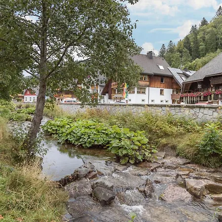 Am Wehrastrand App Eg * Todtmoos