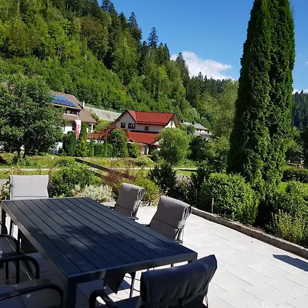 Appartement Am Wehrastrand App Eg Todtmoos